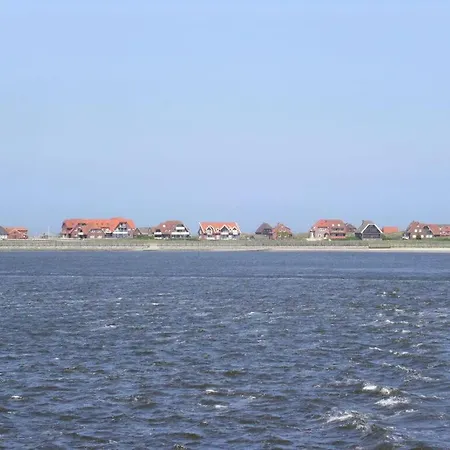 Frisian Bee Modern Retreat Dornumersiel