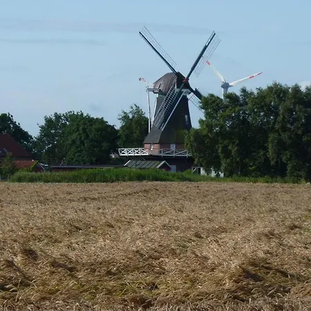 Frisian Bee Modern Retreat Prázdninový dům