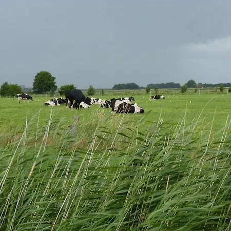 Frisian Bee Modern Retreat Dornumersiel